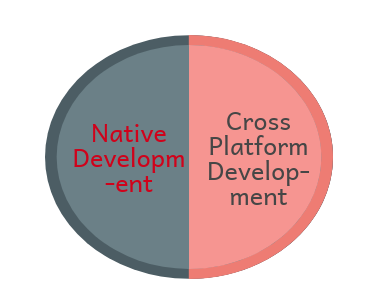 option tobuild mobile application development
